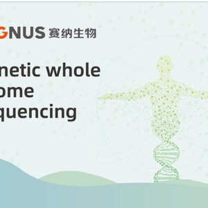 GS100 Desktop DNA Sequencing System | High-Throughput NGS Sequencer for Precision Genomics