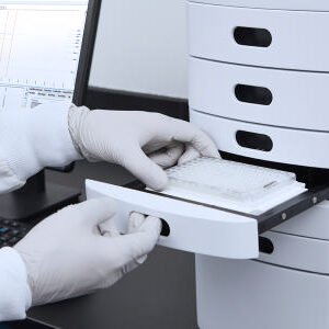 Automated Capillary Electrophoresis for DNA and RNA Analysis