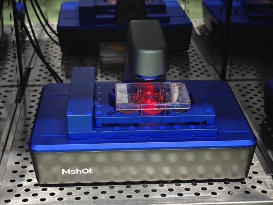Live Cell Imaging System MCS31 for In-Incubator Cell Monitoring - Image 4