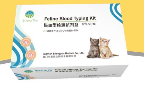 Feline Blood Typing Kit for Cats | Rapid Veterinary Blood Type Test