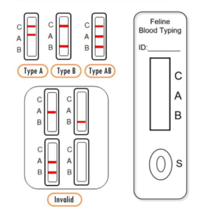 Feline Blood Typing Kit for Cats | Rapid Veterinary Blood Type Test