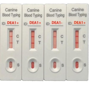 Feline Blood Typing Kit for Cats | Rapid Veterinary Blood Type Test