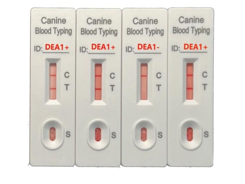 Feline Blood Typing Kit for Cats | Rapid Veterinary Blood Type Test - Image 3