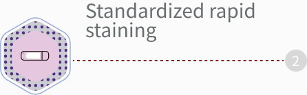 FFscope F650 Automatic Blood Cell Morphology Analyzer - Image 10