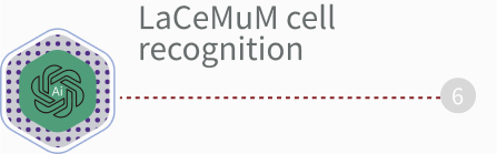 FFscope F650 Automatic Blood Cell Morphology Analyzer - Image 6