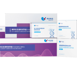 Fetal Chromosomal Aneuploidy (T13, T18, T21) Detection Reagent Kit (Reversible Terminator Sequencing Method)