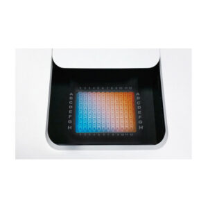 BIOBASE Fluorescent Quantitative PCR Detection System