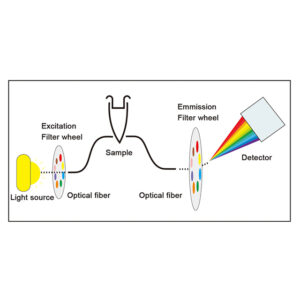BIOBASE Fluorescent Quantitative PCR Detection System