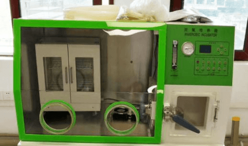 Drawell Anaerobic Incubator LAI-3D 2 Drawell Anaerobic Incubator LAI-3D - Image 2