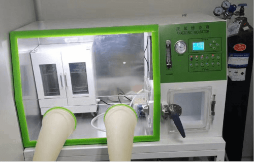 Drawell Anaerobic Incubator LAI-3D 3 Drawell Anaerobic Incubator LAI-3D - Image 3