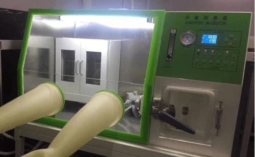 Drawell Anaerobic Incubator LAI-3D 5 Drawell Anaerobic Incubator LAI-3D - Image 5