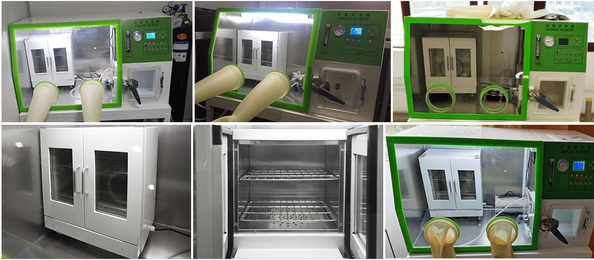 Drawell Anaerobic Incubator LAI-3D 8 Drawell Anaerobic Incubator LAI-3D - Image 8