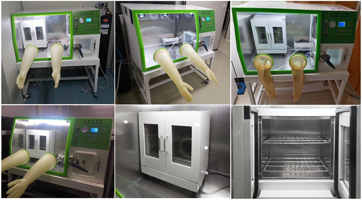 Drawell Anaerobic Incubator LAI-3 8 Drawell Anaerobic Incubator LAI-3 - Image 8