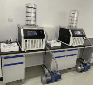 Drawell DW-10N Desktop Freeze Dryer