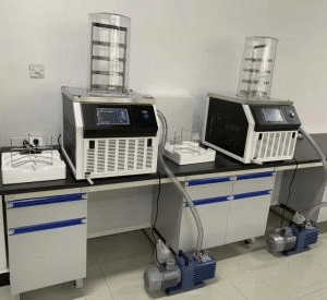Drawell DW-10ND Desktop Freeze Dryer With Heating Function System