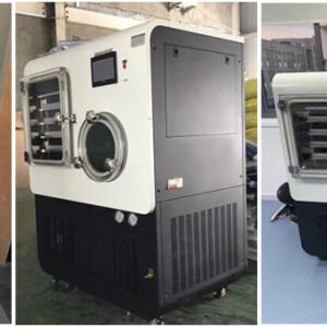 Drawell DW-20F In-situ Silicone Oil Heating Freeze Dryer