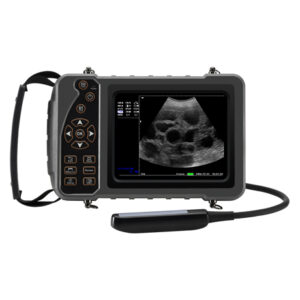 Yonker Veterinary Ultrasound Portable Color Doppler Ultrasound Machine PU-VP051A
