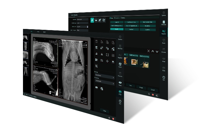 Browiner Veterinary DR Imaging System 7 Browiner Veterinary DR Imaging System - Image 7