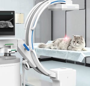 Browiner CompaX 500 Vet Mobile C-arm for Veterinary Applications