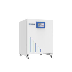 BIOBASE CO2 Incubator(BJPX-CII)
