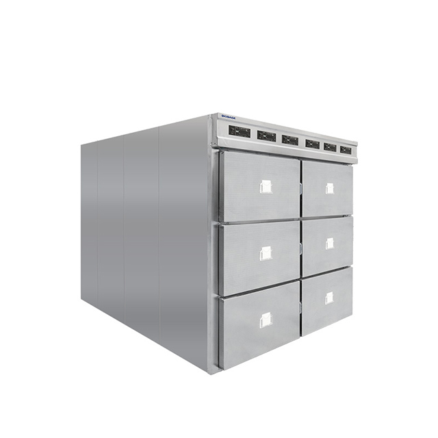 BIOBASE Morgue Freezer 5 BIOBASE Morgue Freezer - Image 5