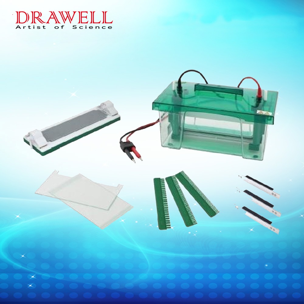 Drawell DW-CZ-BL series Vertical Electrophoresis Tank 3 Drawell DW-CZ-BL series Vertical Electrophoresis Tank - Image 3