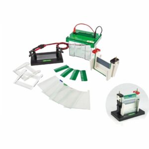 Drawell DW-SCZ2+ Vertical Electrophoresis Tank
