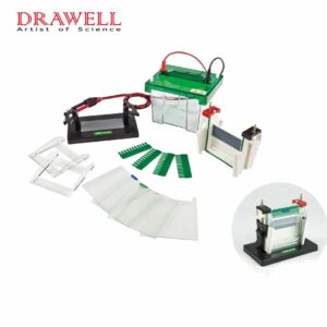 Drawell DW-SCZ2+ Vertical Electrophoresis Tank