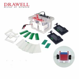 Drawell DW-SCZ4+ Vertical Electrophoresis Tank