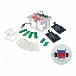 Drawell DW-SCZ4+ Vertical Electrophoresis Tank