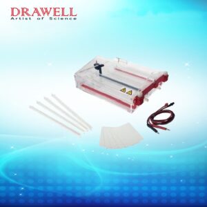 Drawell DW-SP7 Cellulose Acetate Membrane Electrophoresis Tank