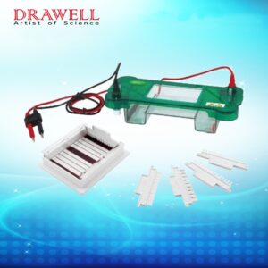 Drawell DW-SPBT Horizontal Electrophoresis Tank