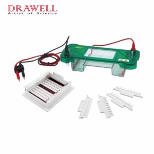 Drawell DW-SPBT Horizontal Electrophoresis Tank