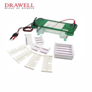 Drawell DW-SPCT Horizontal Electrophoresis Tank