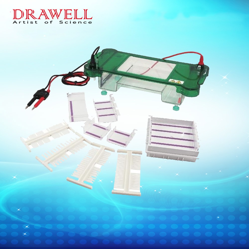 Drawell DW-SPCT Horizontal Electrophoresis Tank 3 Drawell DW-SPCT Horizontal Electrophoresis Tank - Image 3
