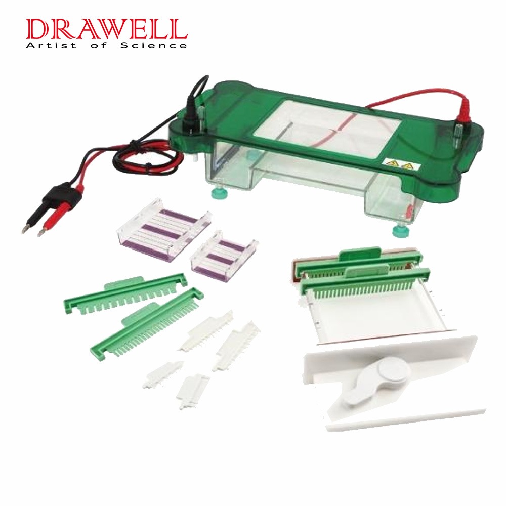 Drawell DW-SPFT Horizontal Electrophoresis Tank 1 Drawell DW-SPFT Horizontal Electrophoresis Tank