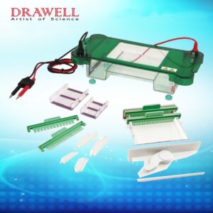 Drawell DW-SPFT Horizontal Electrophoresis Tank