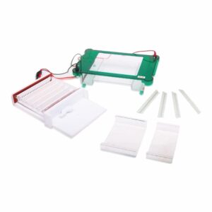Drawell DW-SPGT Horizontal Electrophoresis Tank