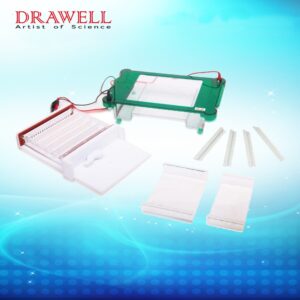 Drawell DW-SPGT Horizontal Electrophoresis Tank
