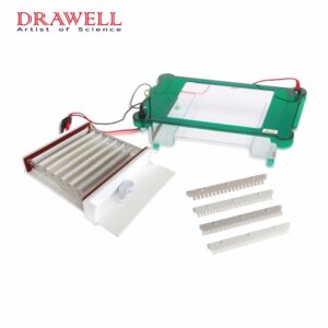 Drawell DW-SPHT Horizontal Electrophoresis Tank