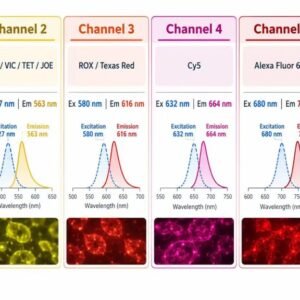 Drawell Gentier 96 Real-Time Quantitative PCR