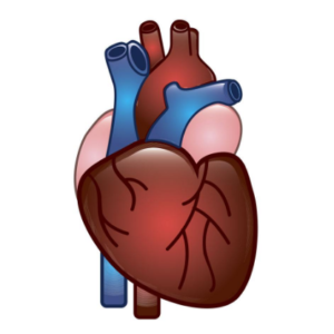 BIOBASE Myocardium Zymogram Items