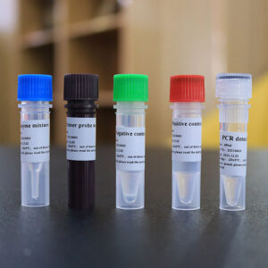 BIOBASE Novel Coronavirus (2019-nCoV) Nucleic Acid Detection Kit (Fluorescence PCR)