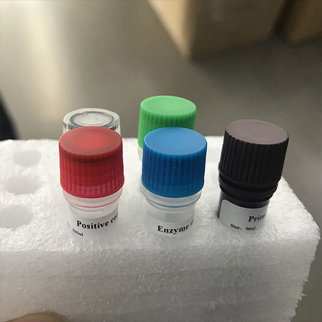 BIOBASE Novel Coronavirus (2019-nCoV) Nucleic Acid Detection Kit (Fluorescence PCR) 3 BIOBASE Novel Coronavirus (2019-nCoV) Nucleic Acid Detection Kit (Fluorescence PCR) - Image 3