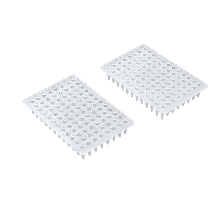 Haier Biomedical PCR 96-Well Plates 2 Haier Biomedical PCR 96-Well Plates - Image 2