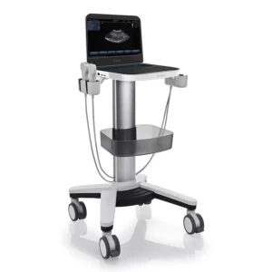 Yonker High-Precision Ultrasound Device for Continuous Organ Function Monitoring in Critical Care Patients