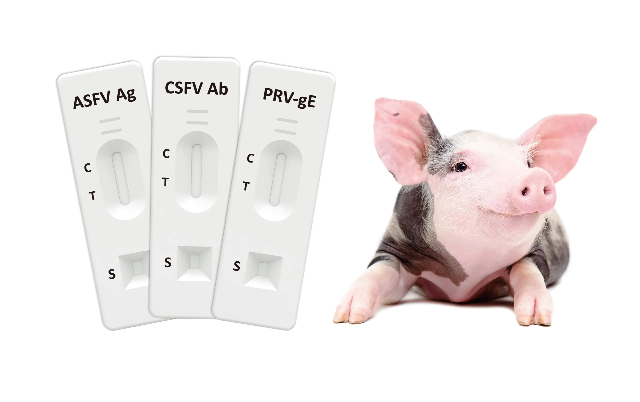 ABOUND Diagnostics Veterinary Rapid Tests 2 ABOUND Diagnostics Veterinary Rapid Tests - Image 2