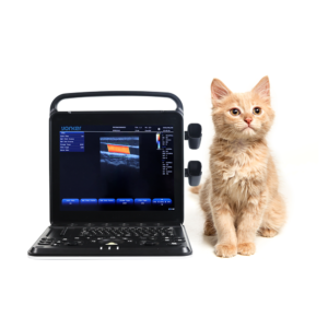 Yonker Veterinary Ultrasound Portable Color Doppler Ultrasound Machine PU-VP151A