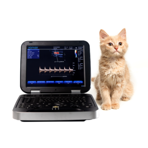 Yonker Veterinary Ultrasound Portable Color Doppler Ultrasound Machine PU-VL151A