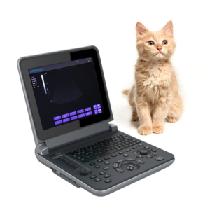 Yonker PU-VDL121A Black and white Veterinary Laptop Ultrasound